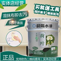 Chenyang Waterlow Natural Pure Low Wall Waterpaint Non-latex Paint High-end Environmental Protective Home Coatings Resistance to Cleaning