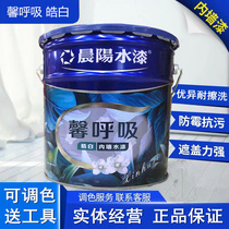 Morning Yang Water Painting Breathing Hao Painting Inner Wall Paint Lacquer Paint Cleanse and Environmentally friendly Wipe and Clean High Cover