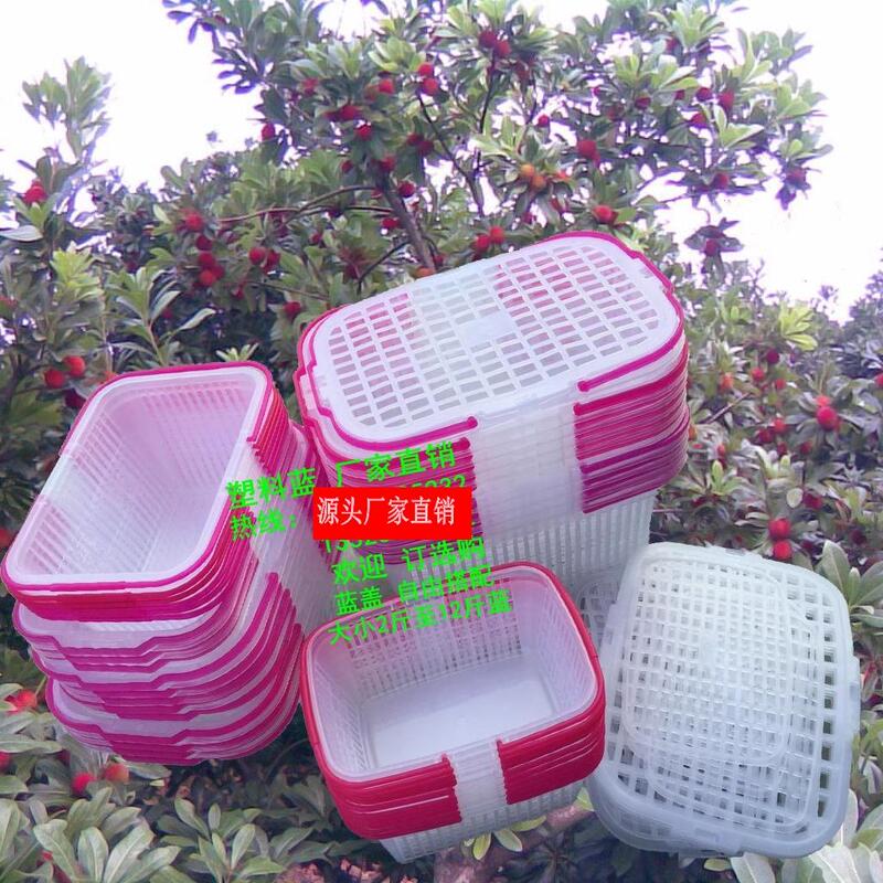 White Flat-Bottomed Plastic Fruit Basket with Handle for Picking Bayberry, Blueberry, Loquat, Cherry, with Lid, Also Suitable for Oranges and Peaches White Flat-Bottomed Plastic Fruit Basket with Handle for Picking Bayberry, Blueberry, Loquat, Cherry, with Lid, Also Suitable for Oranges and Peaches