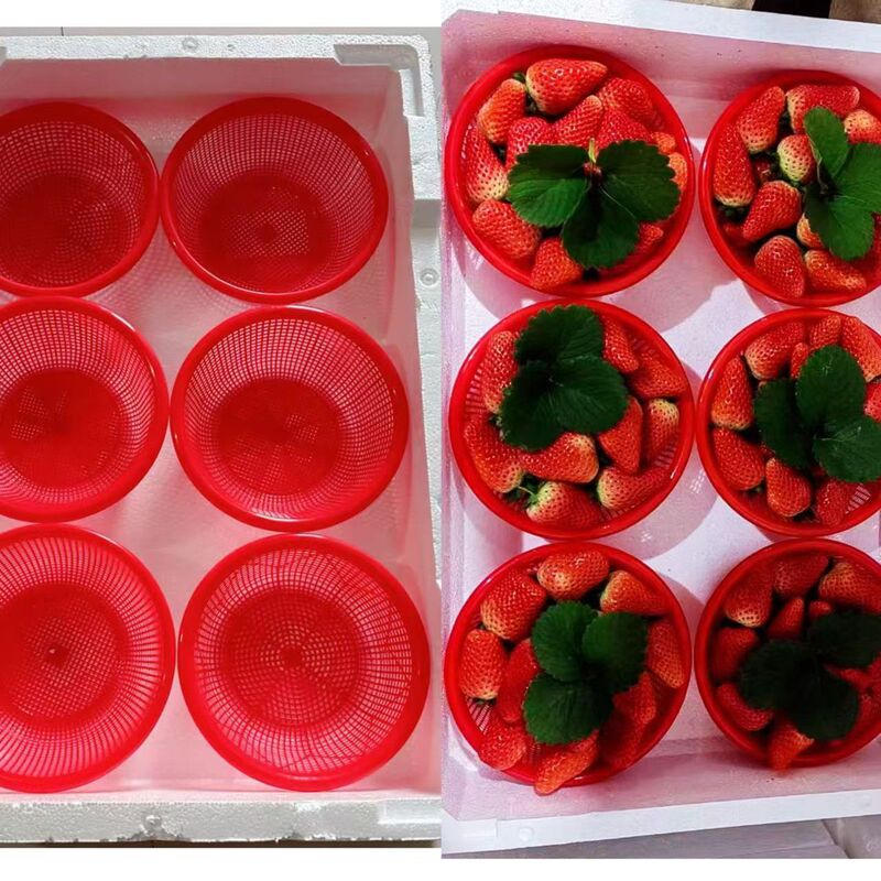 Strawberry Packaging Foam Box 6-in-1 Round Small Frame Rice Basket New Material Red Strawberry Packaging Basin Basket Factory Direct Sale