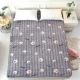 Giường nệm giường nệm phụ Coral quý 1.8x2.0 m flannel dày đệm nệm pad mỏng - Nệm