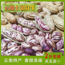 Yunnan colorful peanuts with shell peanuts 500g taste sweet back incense raw peanut seed rice farmer home original Yunnan specialty