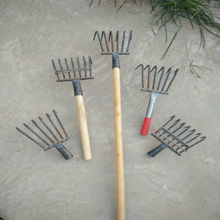 Clam rake Dig clam shellfish rake Catch sea rake Scratch hook Beach planer hook Grab hook dig peanuts planer iron claws