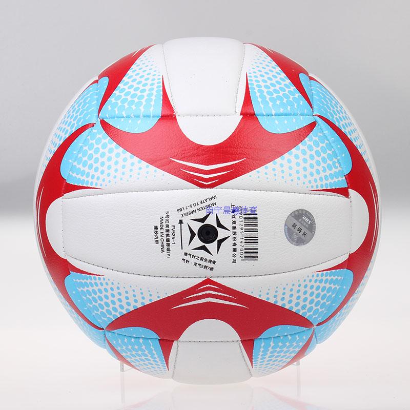 Ballon de volley - Ref 2010492 Image 14