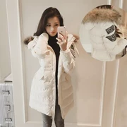 Áo khoác cotton nhỏ nữ dài mùa đông Hàn Quốc dày mềm mại ấm áp giảm béo giảm xuống áo khoác cotton ngắn - Bông