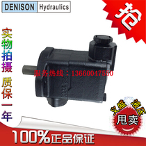 DENISON SDV20 1B13B 1B12B 1B11B 1B10B 11A 11B 11C 11D