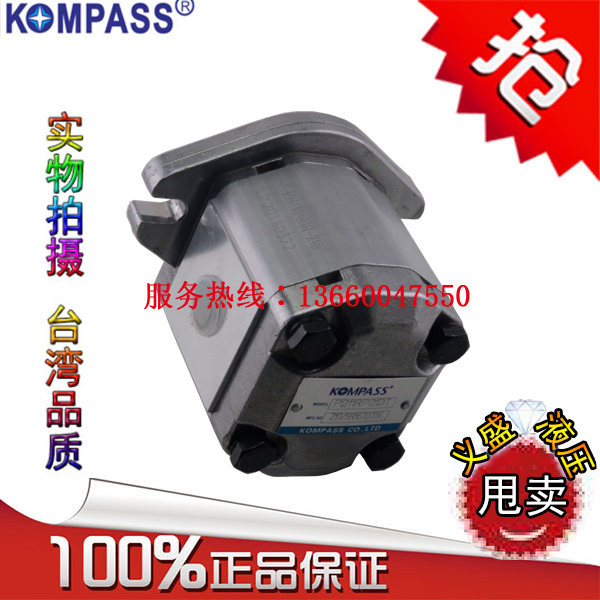 KOMPASS P214RP01DT P211RP01DT P216RP01DT Gear pump P214RP01DT Gear pump P216RP01DT Gear pump P216RP01DT Gear pump