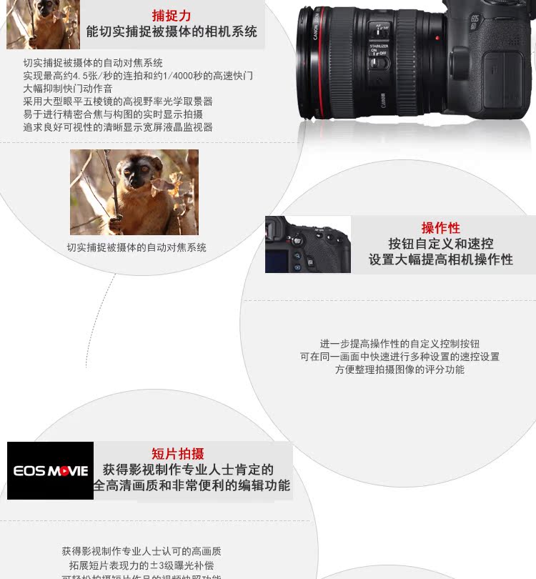 Máy ảnh DSLR ống kính Canon Canon EOS 6D (24-70, 24-105mm) - SLR kỹ thuật số chuyên nghiệp máy ảnh kỹ thuật số
