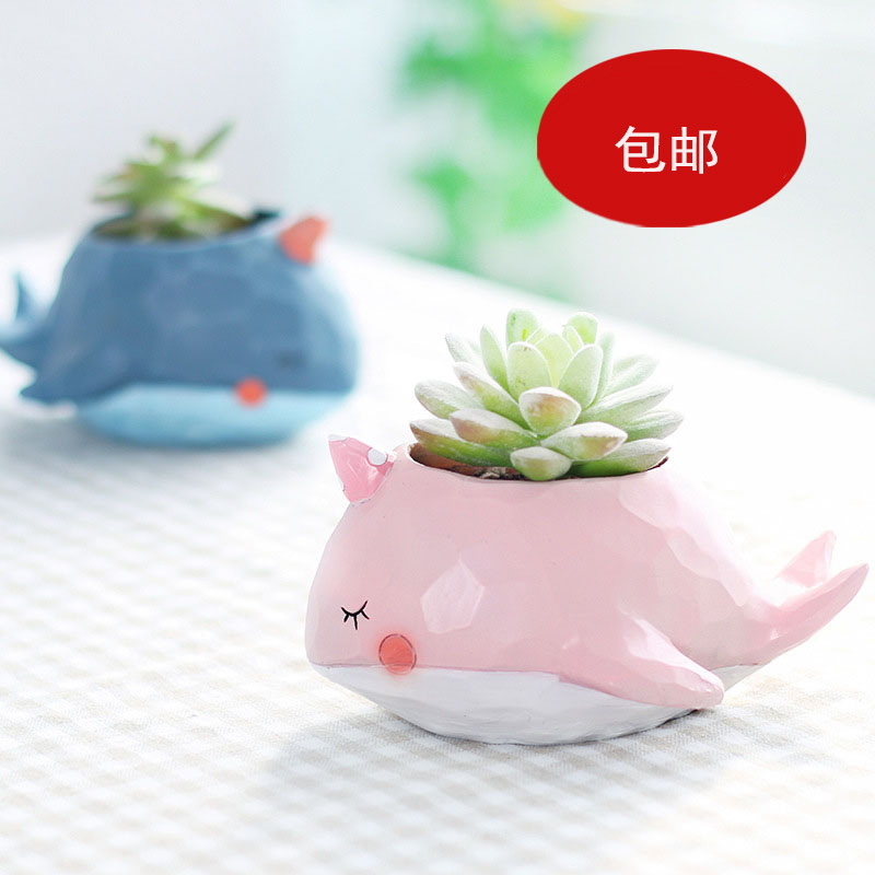 Creative Mediterranean cartoon pastoral garden party whale dinosaur animal office tabletop succulent plant pot