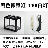 Светло-фиолетовый