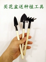 Цветочный горшок, комплект, 3 предмета