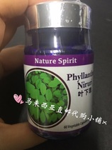Malaysia Direct Mail nature spirit Phyllanthus Capsules Natural Extract 60 Capsules