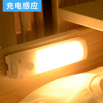 Intelligent Led Body Sensing Small Night Light Rechargeable Aisle Stairway Stairway Wardrobe Automatic Home Sound Control Light Control