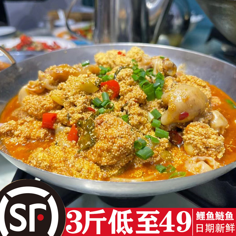 Freshly Killed Fish Seed Fish Soak 2 catties 80 catcarp Carp White Silver Carp Fish Bladder Fish Sausage Fish Liver Fish Gum Fish Grocery Commercial-Taobao