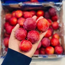 New goods airlift Chilean cherry Li 5 catty fruits pure sweet fresh when fruit plum Australian foreign Li Zunfeng