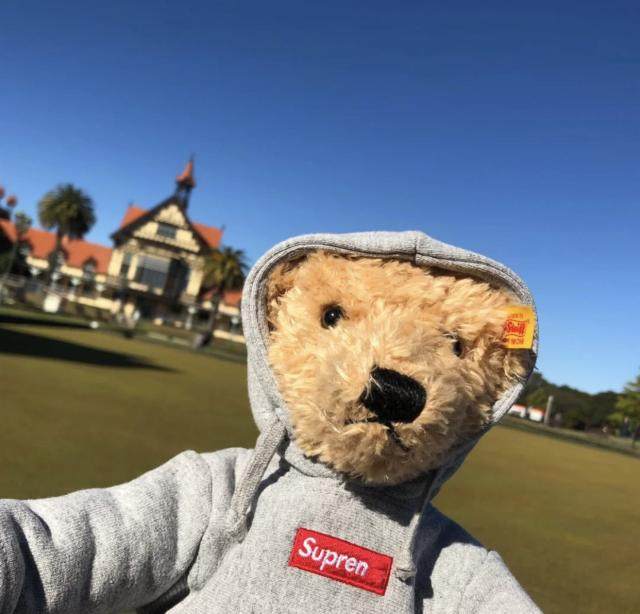 Tide Card Gift Supreme Teddy Bear Doll Small Bear Plush Bear Toy Cloth Dolls superfire