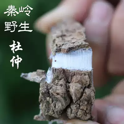 Eucommia Eucommia wild Eucommia 500g old tree Eucommia male tea super male wine tea Chinese herbal medicine Eucommia ulmoides