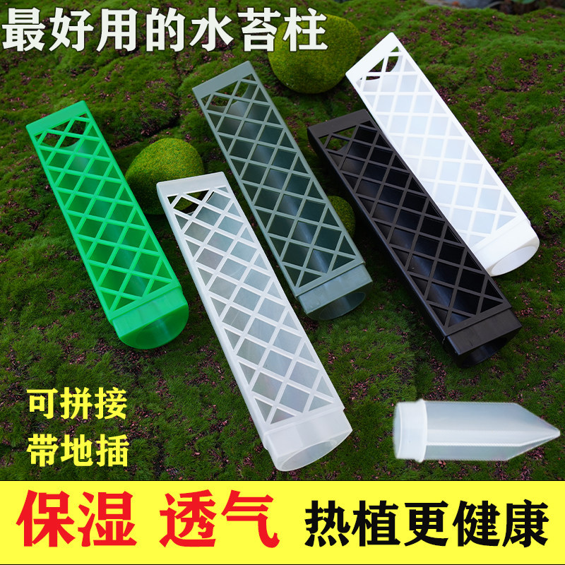Moss Pillars, Monstera Climbing Wall Plants, Fixed Climbing Plants, Epiphytic Plants, Climbing Columns, Water Table Pillars, Anti-Fall Moss Columns