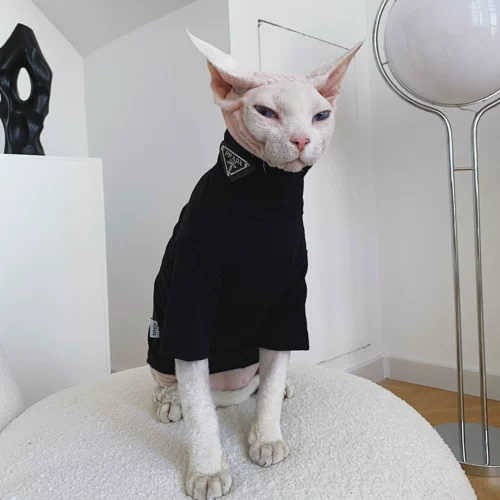 Sphynx планета немецкая одежда