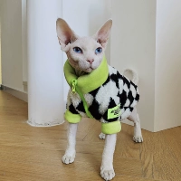 Претендовать на бриллиантовую пару цветовых зеленых