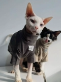 Sphynx планета безволосая кошка Sinox Немецкая одежда Весна и осень -две два -суперкачественные хлопковые края