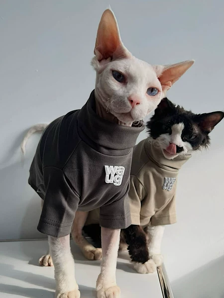 Товары от 无毛猫星球 SPHYNX PLANET