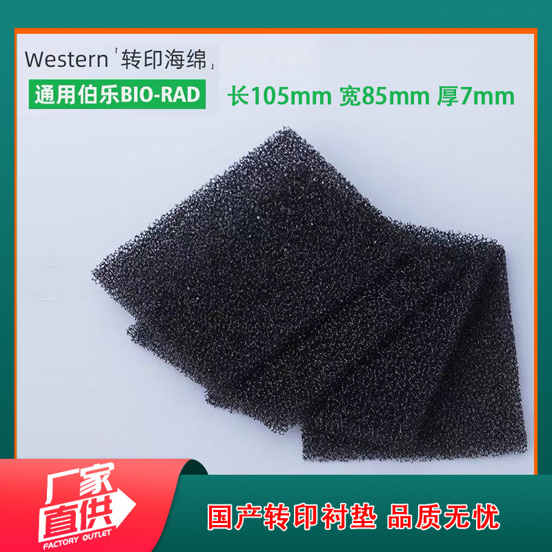 伯乐通用国产WB转印槽海绵垫WesternBlot转膜槽三明治夹板转印绵