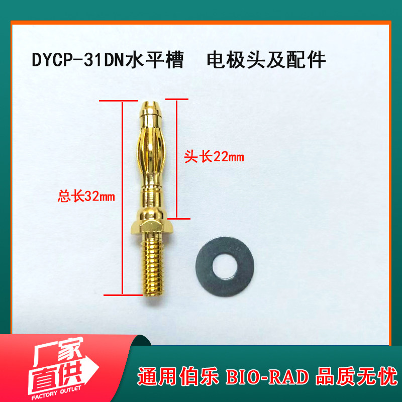 WB电泳仪配件电极头31DN水平槽垂直槽转印槽伯乐通用Bio-Rad