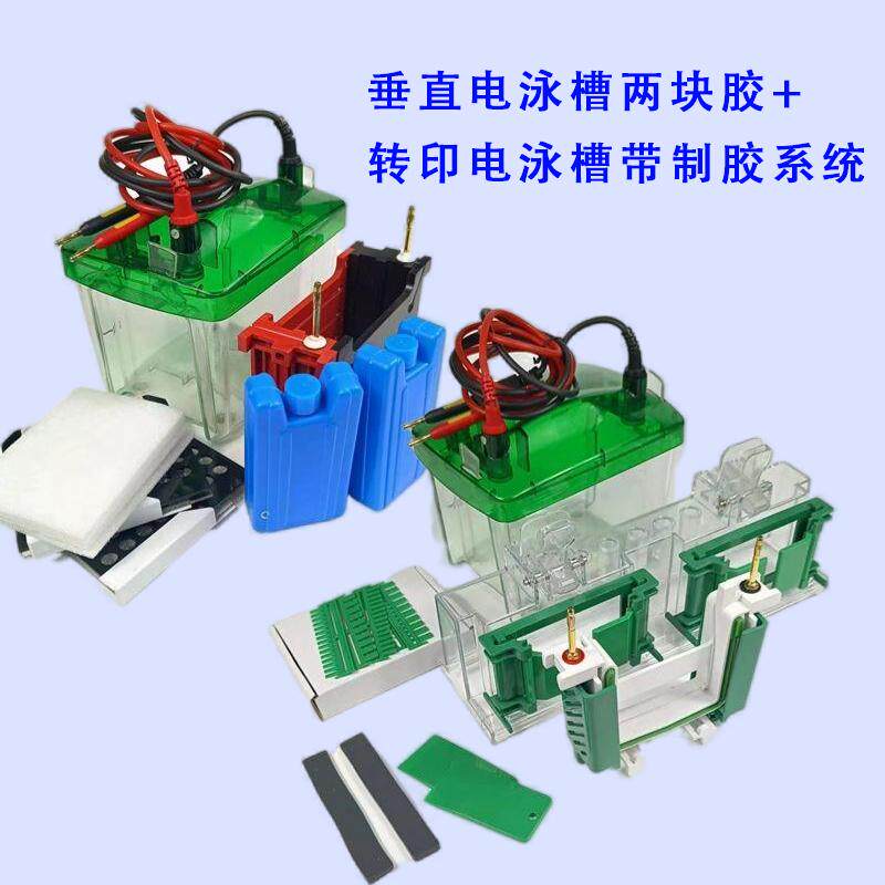 通用伯乐Mini小型WB垂直电泳槽蛋白槽转印槽制胶电源600套餐