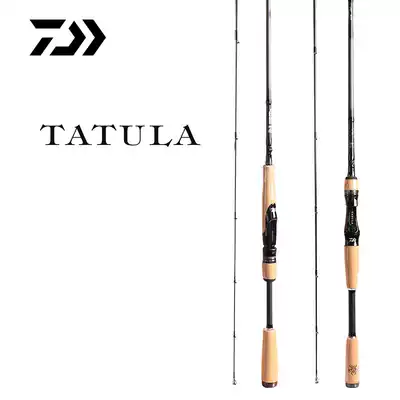 21 DAIWA big and big spider TATULA CS V Q far throw road Aaran Mandarin fish squid bass rod