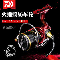 DAIWA Dayiwa 22 Lightweight Light Light Light Light Cup Road Ya horse mouth for Lizard LT spinning wheel
