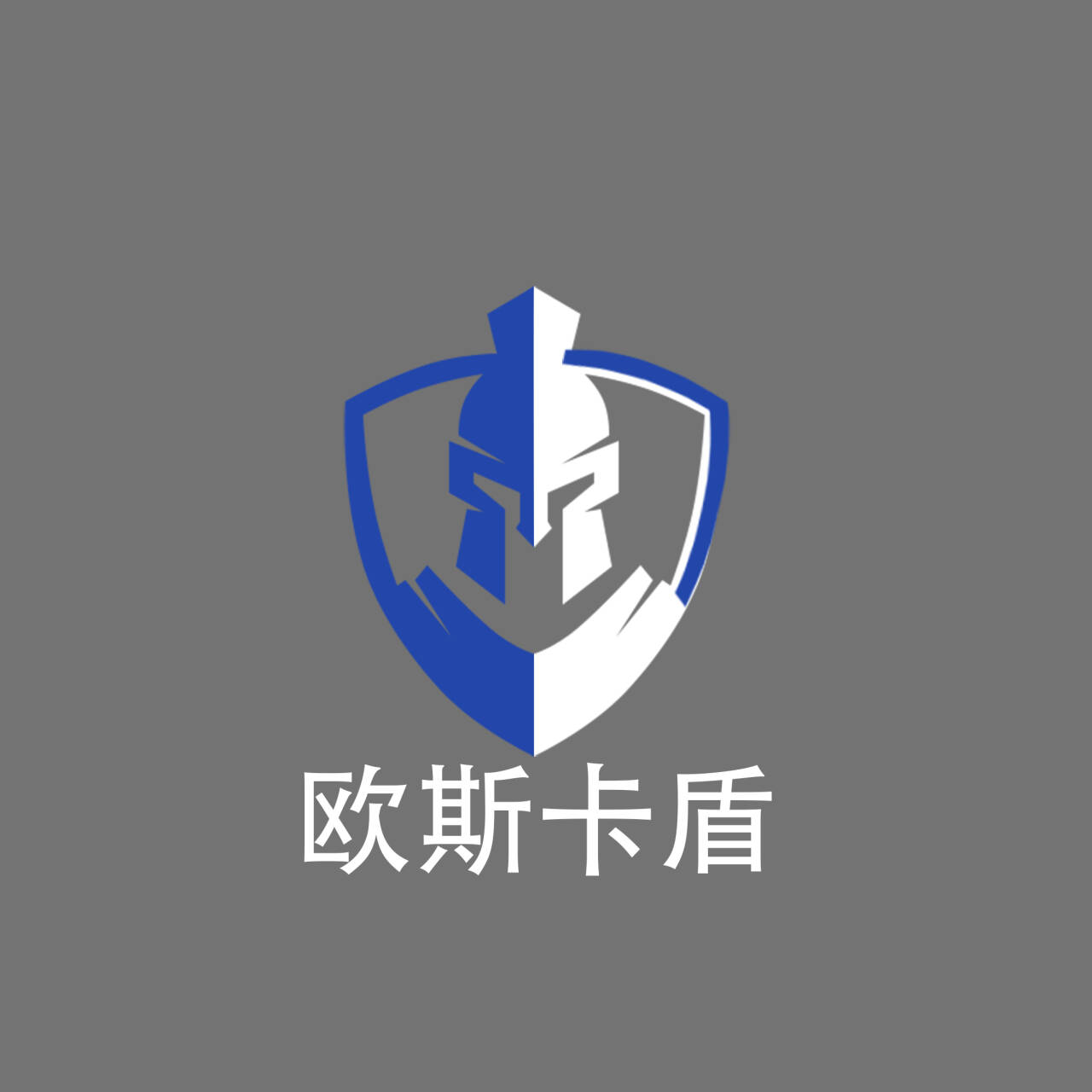 欧斯卡盾智能锁企业店