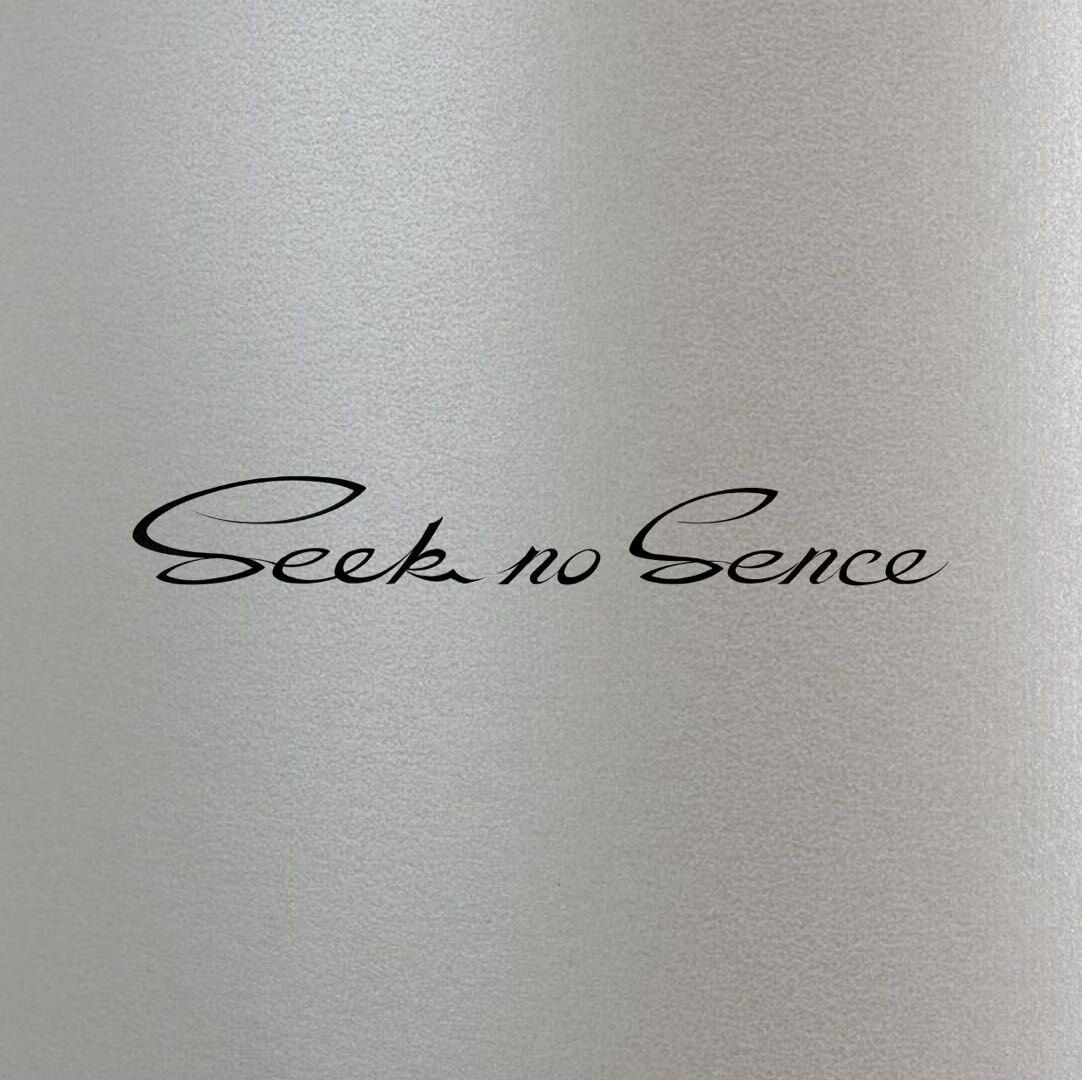 Seek No Sence