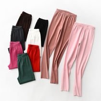 2022 Autumn Winter Plus Suede Underpants Womens Densuede Warm Cotton Pants Without Mark for wearing large code line Trouser Thickened Lining Pants