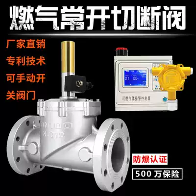 Commercial industrial kitchen gas alarm low pressure electromagnetic shut-off valve explosion-proof DN25 40 50 65 80