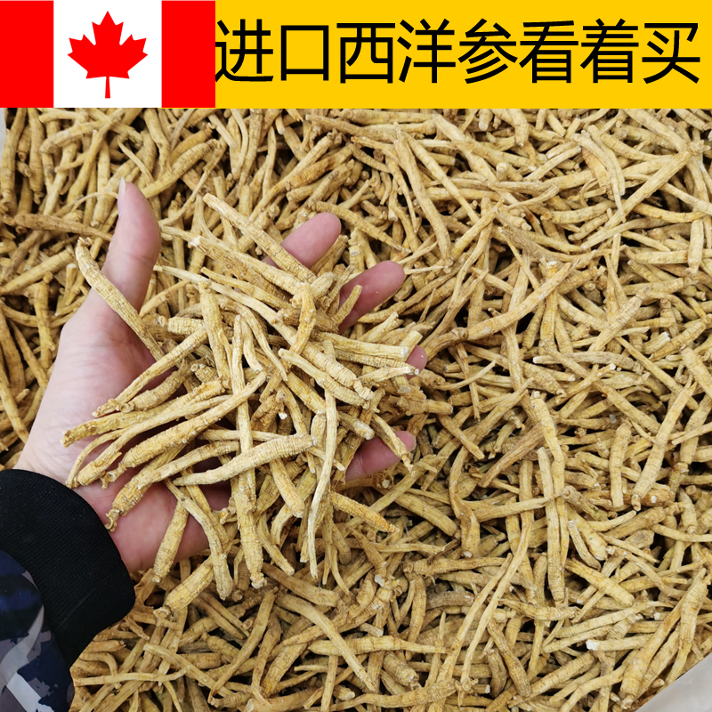 500g a catty imported Western ginseng mustard section authentic Canadian Citi ginseng powder wine stew