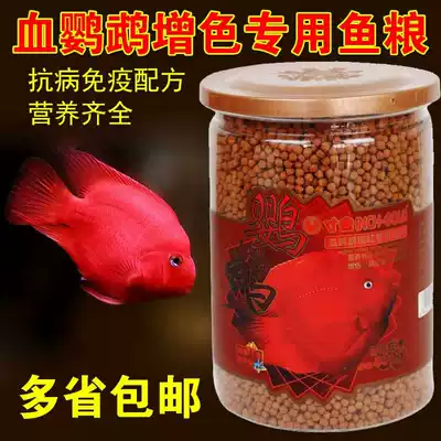 An inch of Gold Blood parrot red color enhancement feed red parrot fish tropical fish ornamental fish rich map fish fish food