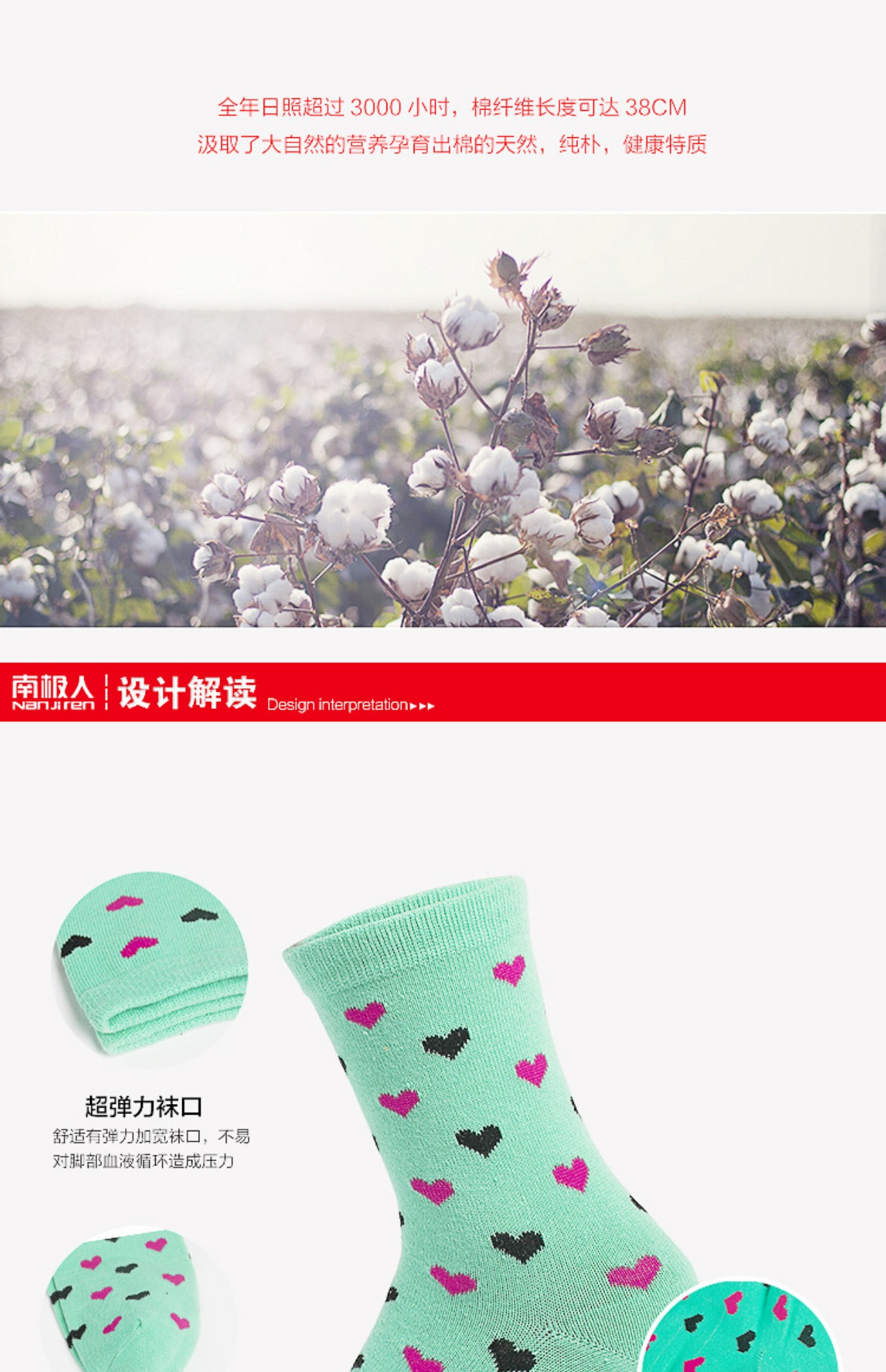 Vớ Nam Cực mùa thu và mùa đông vớ hoạt hình dễ thương nữ sinh vớ cotton kẹo màu chải bông ống vớ tất chân nam