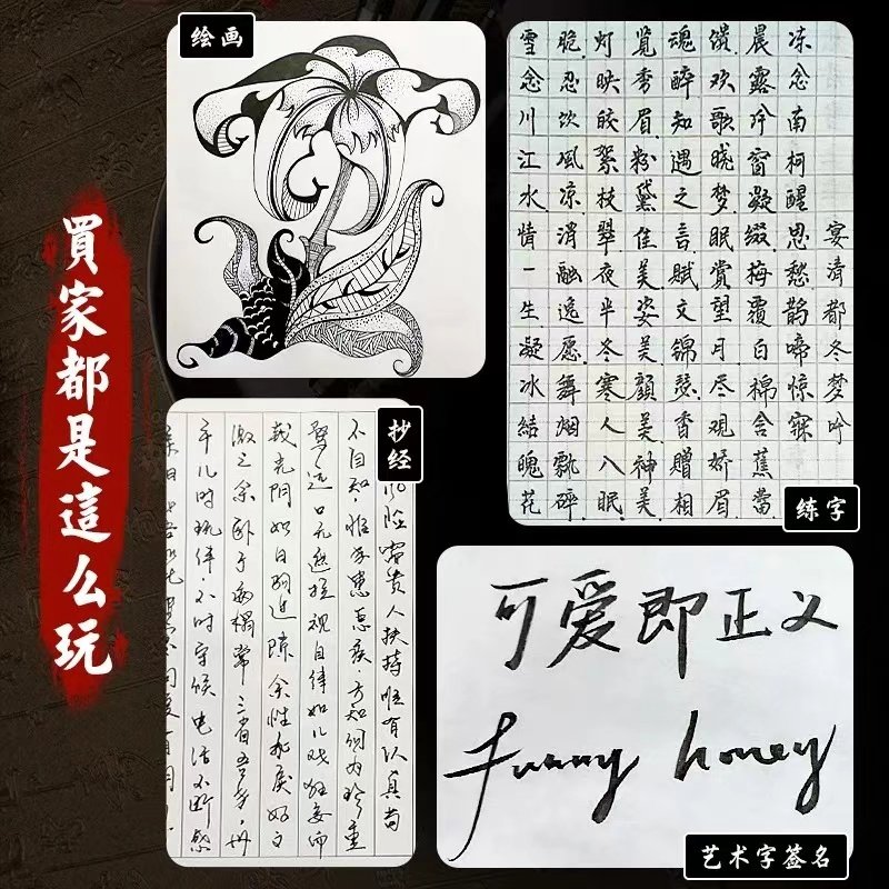 Beautiful Pen with Built-In Brush Tip, Special Soft Tip for Calligraphy, Refillable Ink, Fountain Pen-Style Brush Pen for Practicing Calligraphy, Small Regular Script, Medium Regular Script, Signature Pen