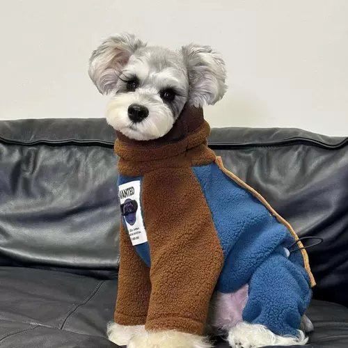 Теплая зимняя одежда для собак, зимняя одежда для маленьких собак из овечьей шерсти, сращенная утолщенная одежда шнауцера контрастного цвета.