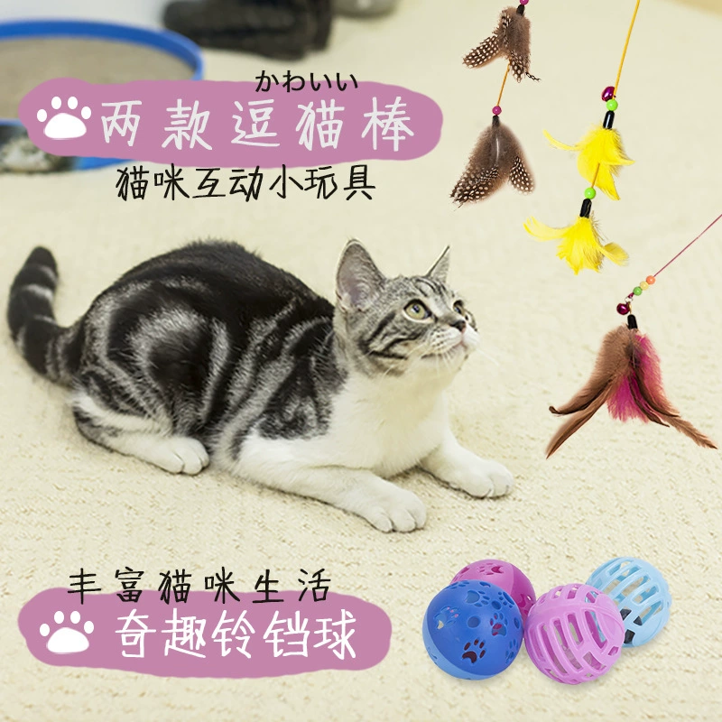 Đồ chơi mèo mát mèo ngộ nghĩnh - Mèo / Chó Đồ chơi
