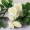 Mô phỏng hoa hồng giả hoa mây trang trí điều hòa không khí bao gồm treo tường treo cây nho quanh co cây nho - Hoa nhân tạo / Cây / Trái cây hoa giấy giả