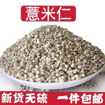 Coix seed small barley seed coix seed grains coarse grain red bean coix tea coix 500g