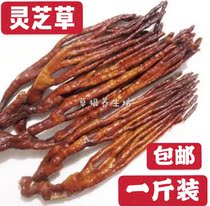 Chinese herbal medicine Ganoderma lucidum pruning Changbai Mountain half Ganoderma lucidum 500g antler Linzhi can beaten powder