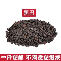 Chinese herbal medicine black ugly two ugly morning morning glory black and white ugly powder 500 grams without impurities and white ugly