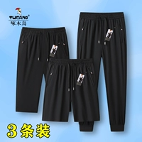 Шорты, штаны