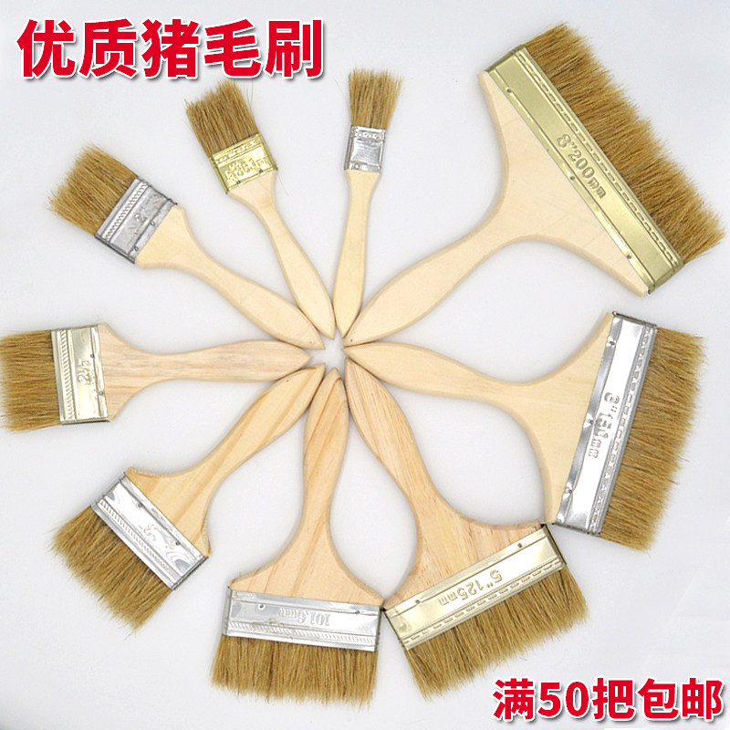Swine brush paint brush brush brush brush brush brush brush brush brush brush brush brush brush brush brush brush brush brush brush brush brush brush brush brush brush brush brush brush brush brush brush brush brush brush brush brush brush brush brush brush brush brush brush brush brush brush brush brush brush brush brush brus
