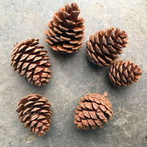 Natural pine cone decoration local pine fruit Christmas flower shooting props diy material dried flower material bag