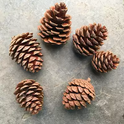 Natural pine cone decoration local pine pine fruit Christmas flower shooting props diy material dry flower material bag