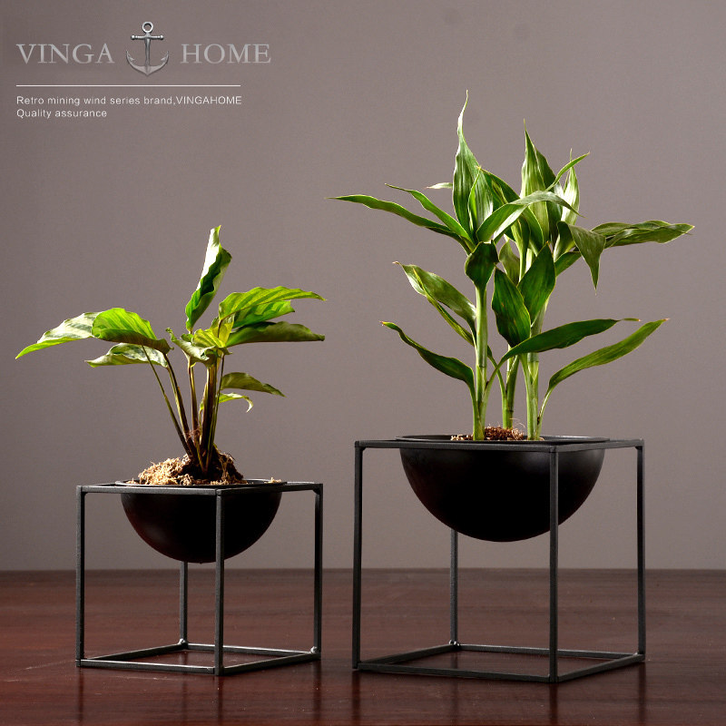 Nordic transparent green dill Hydroponic plant creative flower vase Small fresh vase Table decoration